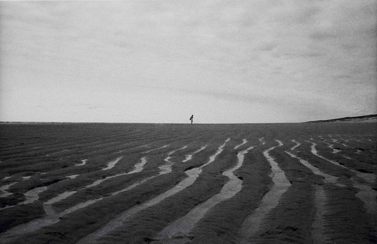 JEHAD OTHMAN